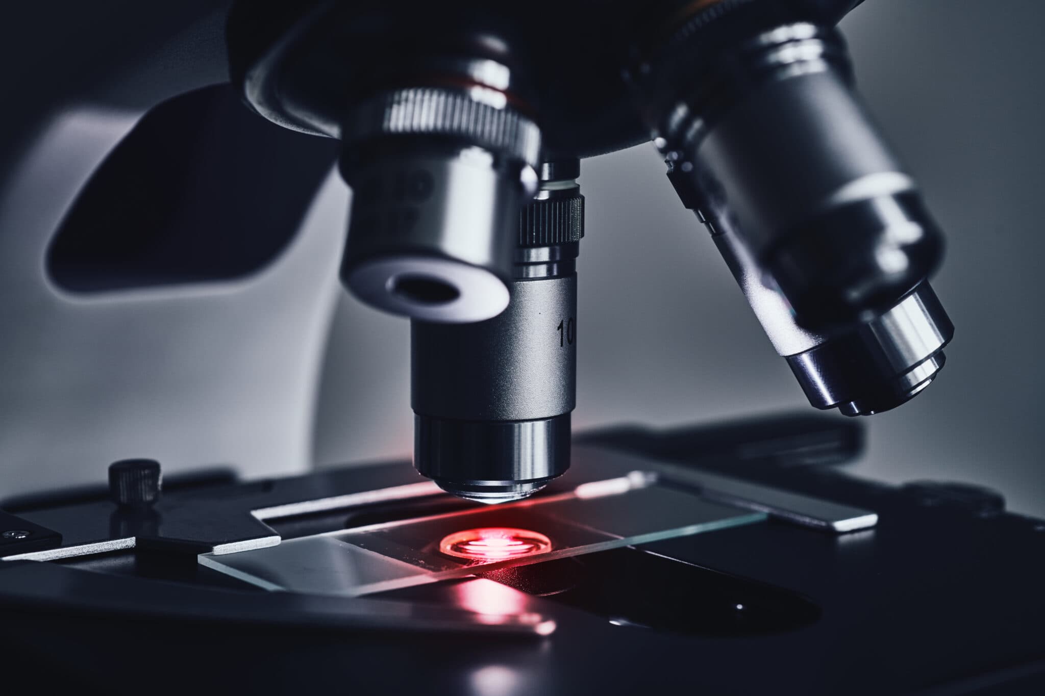 Blood slide under a microscope for Live & Dry Blood Analysis